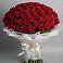 Букет 101 Красная роза Блэк Мэджик в Божонке