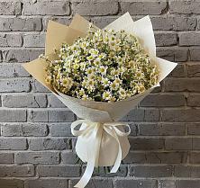 Букет цветов из:  Ромашки в Божонке