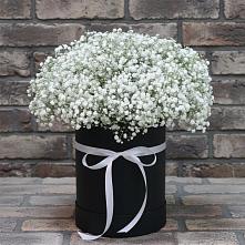 Цветочная композиция из Гипсофила в шляпной коробке в Божонке